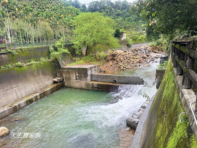 南投景點、水里景點、吉仙宮、石觀音吉仙宮、石觀音吊橋、石觀音、石觀音玩水、水里石觀音、吉 仙 宮