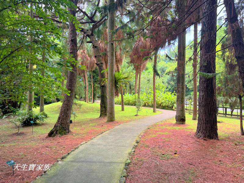 台北植物園、台北植物園一日遊、台北植物園交通、台北植物園美食、台北植物園開放時間、台北植物園附近景點、台北植物園捷運、台北植物園停車、台北植物園開花情報