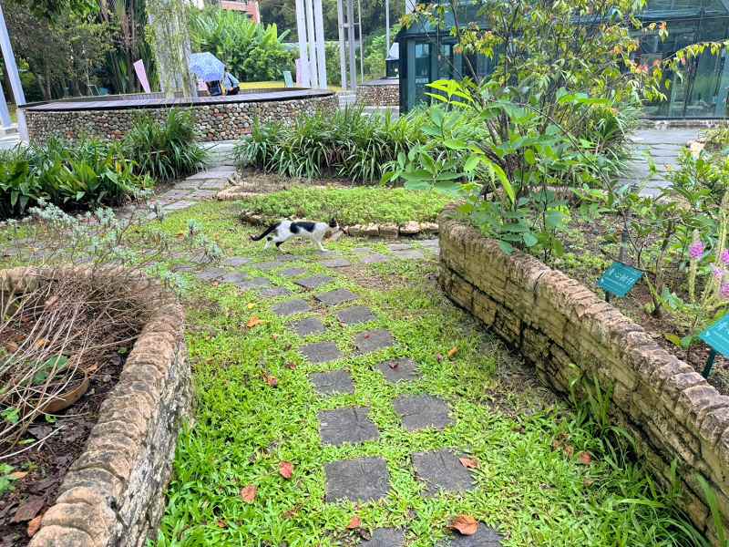 台北植物園、台北植物園一日遊、台北植物園交通、台北植物園美食、台北植物園開放時間、台北植物園附近景點、台北植物園捷運、台北植物園停車、台北植物園開花情報