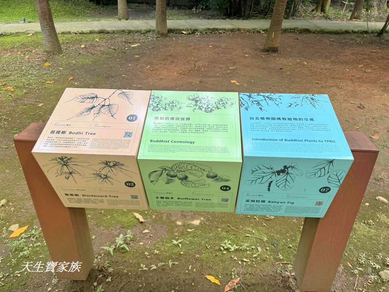 台北植物園、台北植物園一日遊、台北植物園交通、台北植物園美食、台北植物園開放時間、台北植物園附近景點、台北植物園捷運、台北植物園停車、台北植物園開花情報