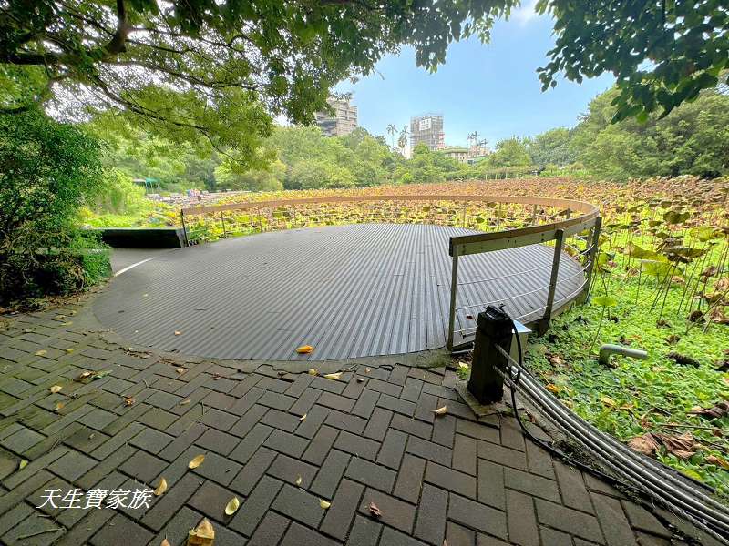 台北植物園、台北植物園一日遊、台北植物園交通、台北植物園美食、台北植物園開放時間、台北植物園附近景點、台北植物園捷運、台北植物園停車、台北植物園開花情報