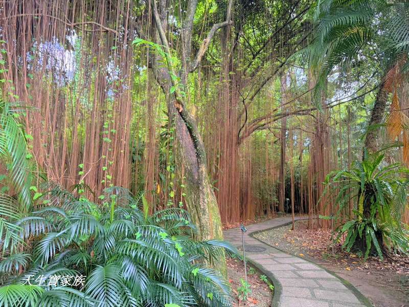 網站近期文章：【台北植物園】林業試驗所免門票～歷史古蹟與生態奇景隨你漫遊