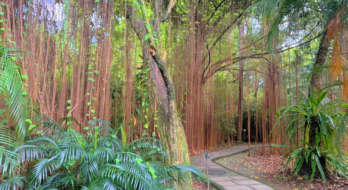 台北植物園、台北植物園一日遊、台北植物園交通、台北植物園美食、台北植物園開放時間、台北植物園附近景點、台北植物園捷運、台北植物園停車、台北植物園開花情報