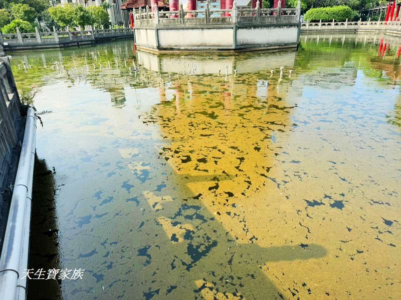 台北景點、二二八和平紀念公園、二二八和平公園、二二八公園介紹、二二八公園地圖、二二八公園導覽、二二八公園歷史、228公園捷運出口