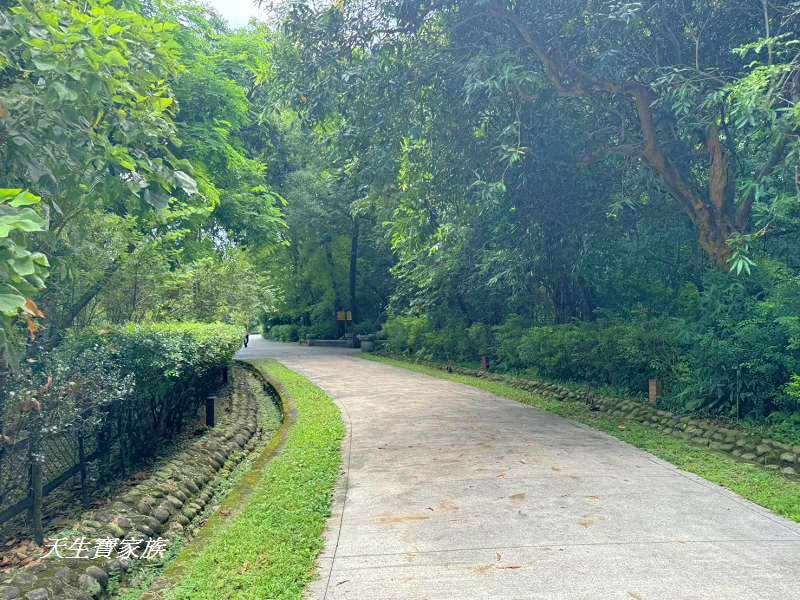 台北植物園、台北植物園一日遊、台北植物園交通、台北植物園美食、台北植物園開放時間、台北植物園附近景點、台北植物園捷運、台北植物園停車、台北植物園開花情報