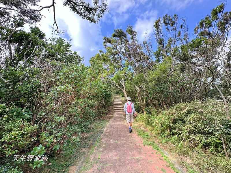 旭海景點、旭海大草原、旭海大草原門票、旭海大草原觀海亭、旭海美景、旭海草原、旭海草原停車場、旭海草原登頂涼亭、旭海草原觀景臺、旭海景點、旭海一日遊、旭海住宿