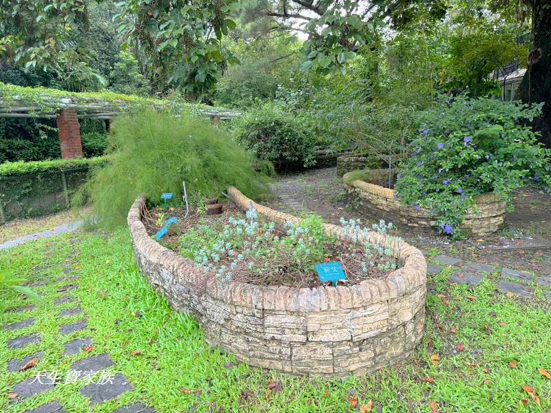 台北植物園、台北植物園一日遊、台北植物園交通、台北植物園美食、台北植物園開放時間、台北植物園附近景點、台北植物園捷運、台北植物園停車、台北植物園開花情報