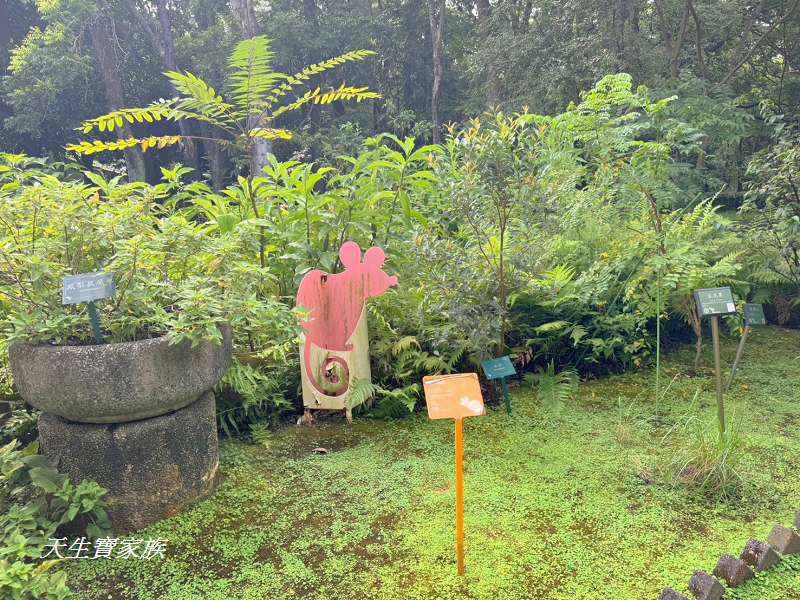 台北植物園、台北植物園一日遊、台北植物園交通、台北植物園美食、台北植物園開放時間、台北植物園附近景點、台北植物園捷運、台北植物園停車、台北植物園開花情報