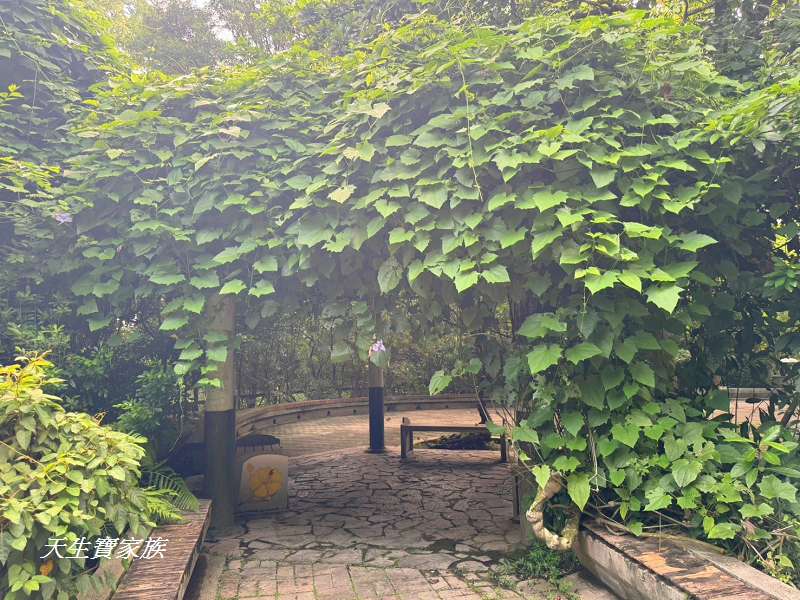 台北植物園、台北植物園一日遊、台北植物園交通、台北植物園美食、台北植物園開放時間、台北植物園附近景點、台北植物園捷運、台北植物園停車、台北植物園開花情報