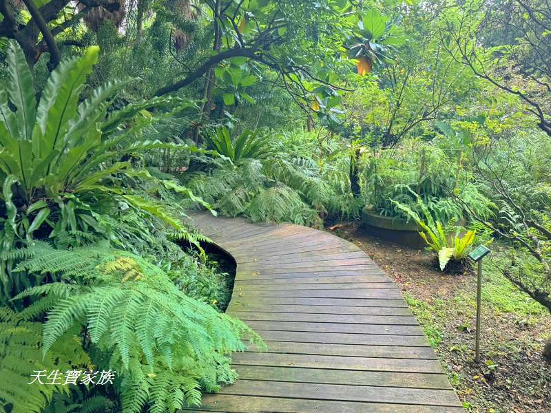 台北植物園、台北植物園一日遊、台北植物園交通、台北植物園美食、台北植物園開放時間、台北植物園附近景點、台北植物園捷運、台北植物園停車、台北植物園開花情報