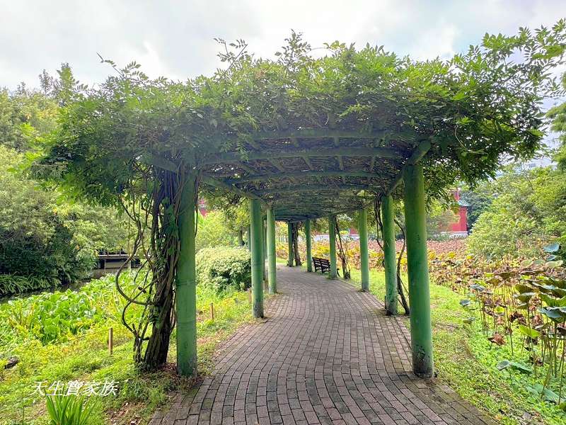 台北植物園、台北植物園一日遊、台北植物園交通、台北植物園美食、台北植物園開放時間、台北植物園附近景點、台北植物園捷運、台北植物園停車、台北植物園開花情報