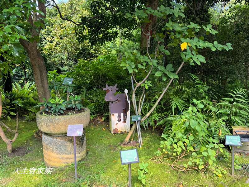 台北植物園、台北植物園一日遊、台北植物園交通、台北植物園美食、台北植物園開放時間、台北植物園附近景點、台北植物園捷運、台北植物園停車、台北植物園開花情報