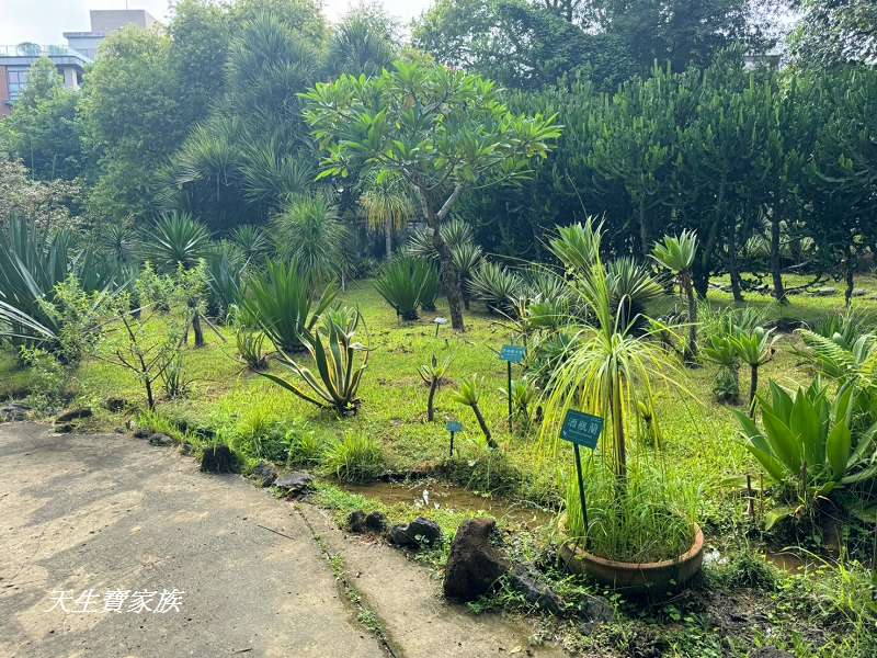 台北植物園、台北植物園一日遊、台北植物園交通、台北植物園美食、台北植物園開放時間、台北植物園附近景點、台北植物園捷運、台北植物園停車、台北植物園開花情報