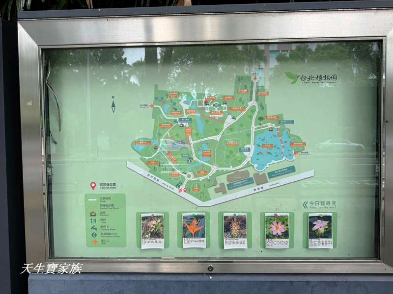 台北植物園、台北植物園一日遊、台北植物園交通、台北植物園美食、台北植物園開放時間、台北植物園附近景點、台北植物園捷運、台北植物園停車、台北植物園開花情報