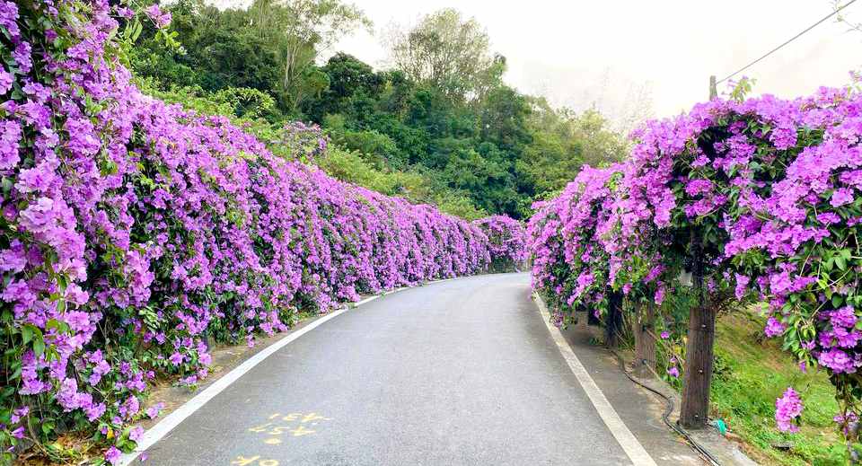 西螺景點、西螺親子景點、西螺大橋廣場、西螺大橋公園、西螺大橋景點、西螺公園、西螺大橋怎麼走、蝴蝶公園、螺石公園、水漾親水空間 西螺景點、西螺親子景點、西螺大橋廣場、西螺大橋公園、西螺大橋景點、西螺公園、西螺大橋怎麼走、蝴蝶公園、螺石公園、水漾親水空間