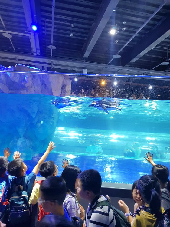 台中新景點,台中海洋生態館,台中海洋生態館門票,台中海洋生態館開幕了嗎,台中海洋館,台中海洋館 Taichung Aquarium,台中海洋館停車場,台中海洋館票價,台中海洋館評論,台中海生館,台中海生館2024,台中海生館dcard,台中海生館ptt,台中海生館地址,台中海生館官網,台中海生館徵才,台中海生館總經費,台中海生館開幕時間
