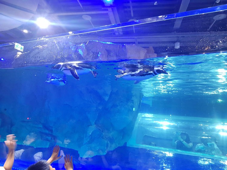 台中新景點,台中海洋生態館,台中海洋生態館門票,台中海洋生態館開幕了嗎,台中海洋館,台中海洋館 Taichung Aquarium,台中海洋館停車場,台中海洋館票價,台中海洋館評論,台中海生館,台中海生館2024,台中海生館dcard,台中海生館ptt,台中海生館地址,台中海生館官網,台中海生館徵才,台中海生館總經費,台中海生館開幕時間