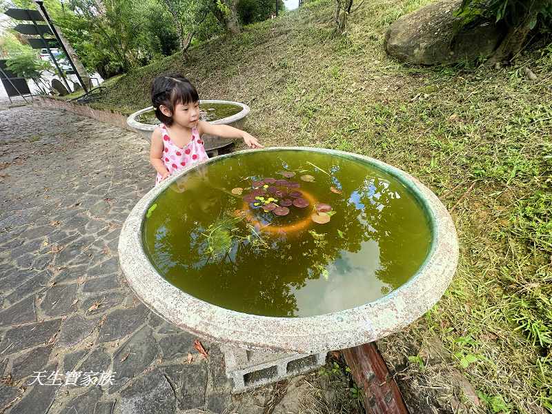 嘉義景觀餐廳、清豐濤月景觀足湯、清豐濤月景觀餐廳、清豐濤月景觀餐廳菜單、清豐濤月、清豐濤月預約、清豐濤月菜單、清風濤月價格、清風濤月交通、清豐濤月附近景點