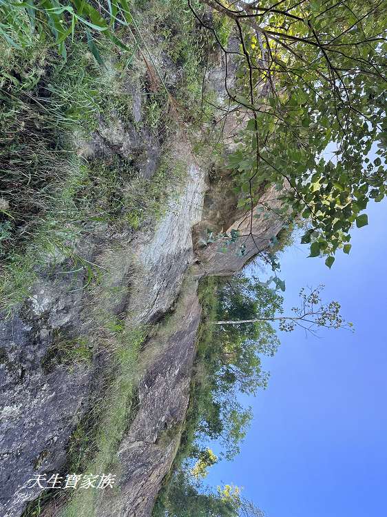 凌雲巖、大坑凌雲巖、竹崎凌雲巖、竹崎觀音石步道、凌雲巖觀音石步道、觀音石步道、大坑凌雲巖車泊、大坑凌雲巖住宿、觀音石、