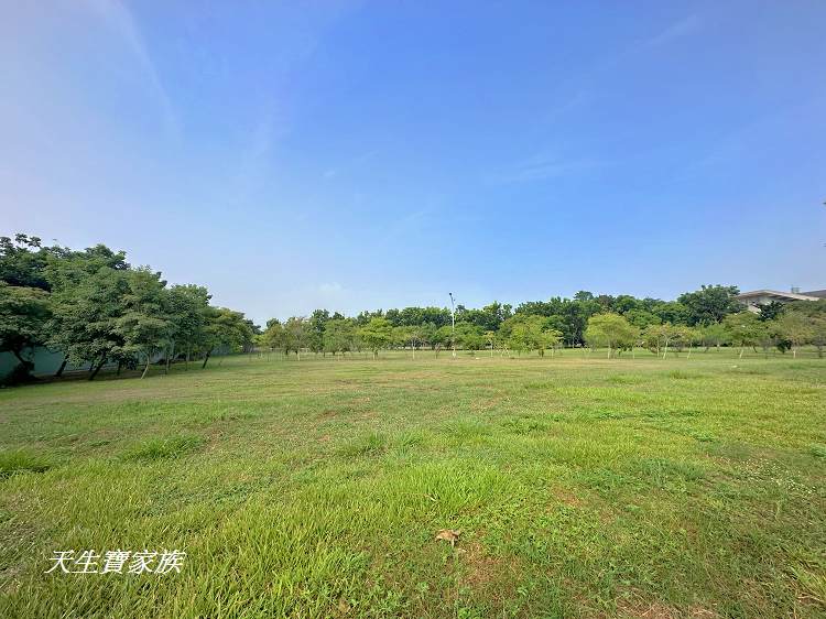 南投景點、草屯景點、酷比親子運動公園、草屯親子遊、草屯酷比公園、草屯親子共融公園、草屯酷比親子運動公園