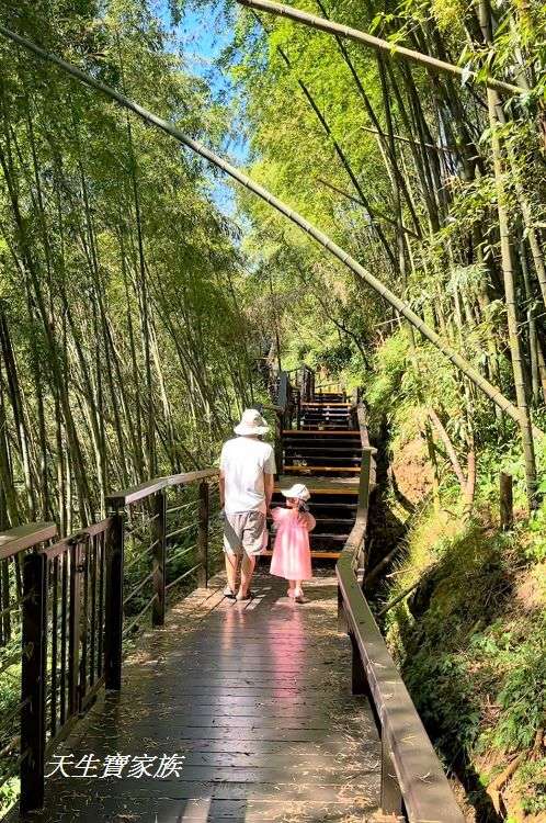 嘉義景點、隙頂景點、茶林山步道、隙頂茶林山步道、茶林山步道在那裡、茶林山步道登山口、茶林山、茶林山步道 停車場