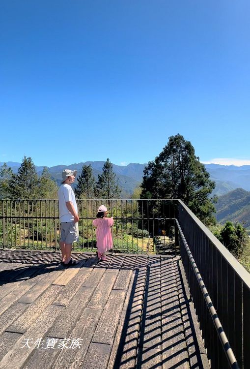 嘉義景點、隙頂景點、茶林山步道、隙頂茶林山步道、茶林山步道在那裡、茶林山步道登山口、茶林山、茶林山步道 停車場