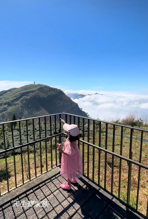 嘉義景點、隙頂景點、茶林山步道、隙頂茶林山步道、茶林山步道在那裡、茶林山步道登山口、茶林山、茶林山步道 停車場