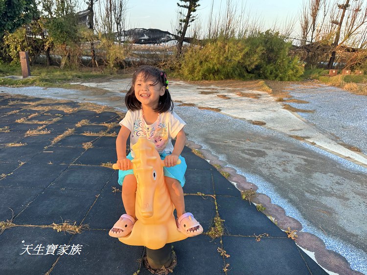 雲林景點、麥寮景點、文蛤公園、麥寮巨大蛤蜊、海豐社區文蛤公園、海豐社區、麥寮好玩的、麥寮打卡點、麥寮親子遊、麥寮鄉海豐村、雲林縣麥寮鄉海豐社區發展協會、雲林挖蛤蜊、蛤仔公園、六輕附近景點