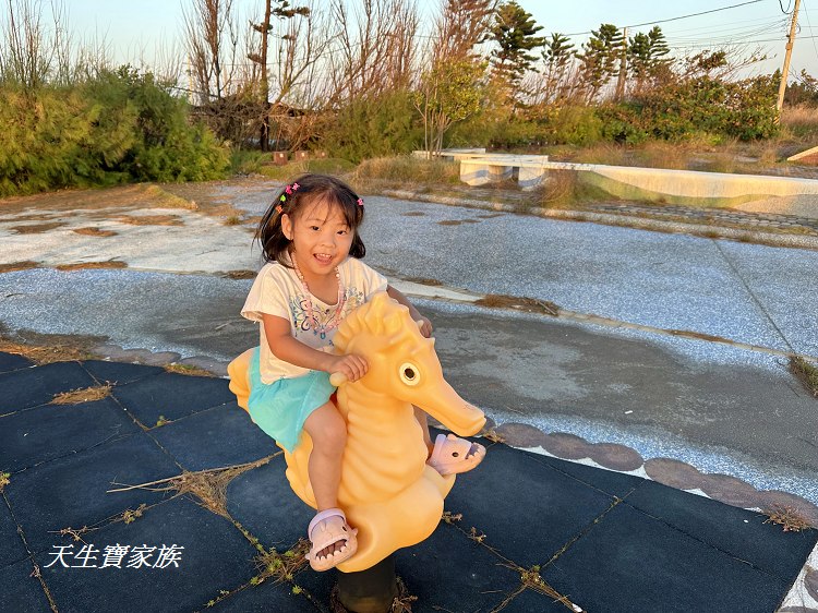 雲林景點、麥寮景點、文蛤公園、麥寮巨大蛤蜊、海豐社區文蛤公園、海豐社區、麥寮好玩的、麥寮打卡點、麥寮親子遊、麥寮鄉海豐村、雲林縣麥寮鄉海豐社區發展協會、雲林挖蛤蜊、蛤仔公園、六輕附近景點