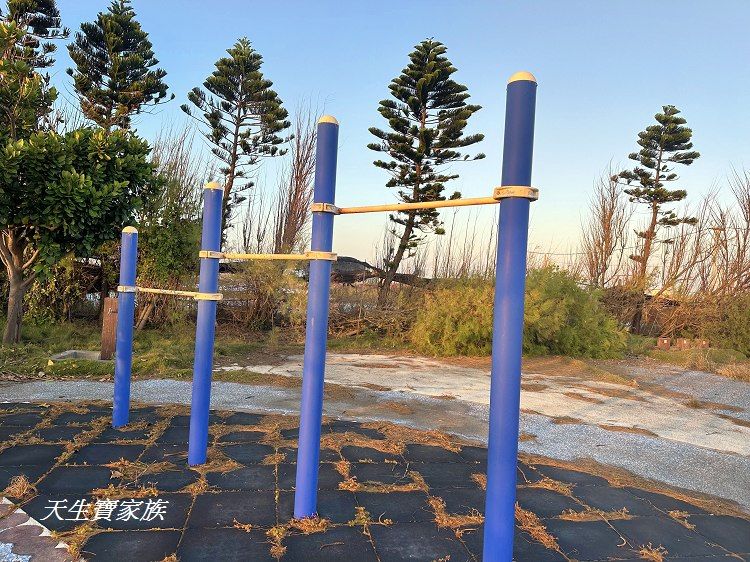 雲林景點、麥寮景點、文蛤公園、麥寮巨大蛤蜊、海豐社區文蛤公園、海豐社區、麥寮好玩的、麥寮打卡點、麥寮親子遊、麥寮鄉海豐村、雲林縣麥寮鄉海豐社區發展協會、雲林挖蛤蜊、蛤仔公園、六輕附近景點