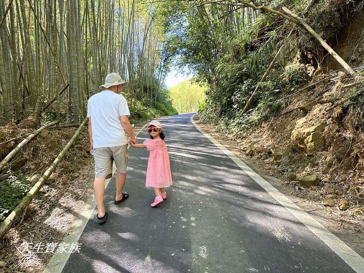 嘉義景點、隙頂景點、茶林山步道、隙頂茶林山步道、茶林山步道在那裡、茶林山步道登山口、茶林山、茶林山步道 停車場