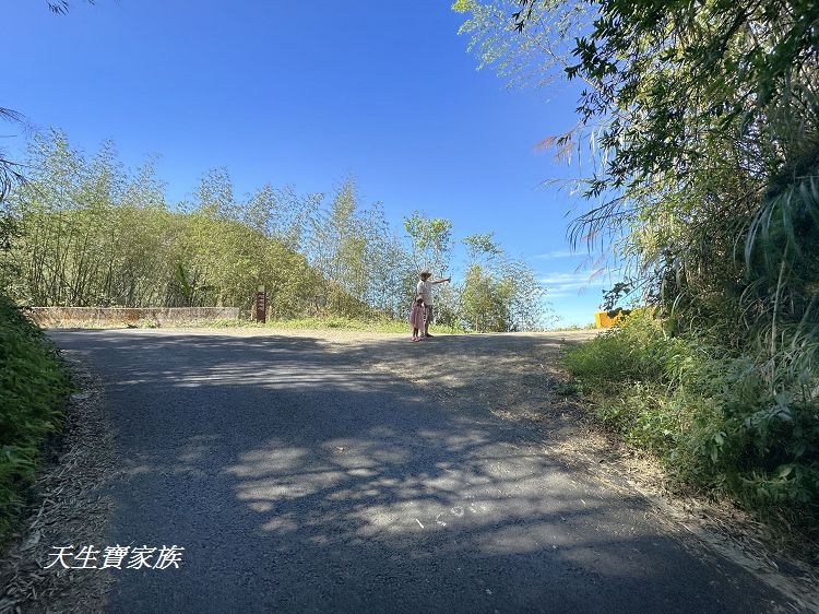 嘉義景點、隙頂景點、茶林山步道、隙頂茶林山步道、茶林山步道在那裡、茶林山步道登山口、茶林山、茶林山步道 停車場