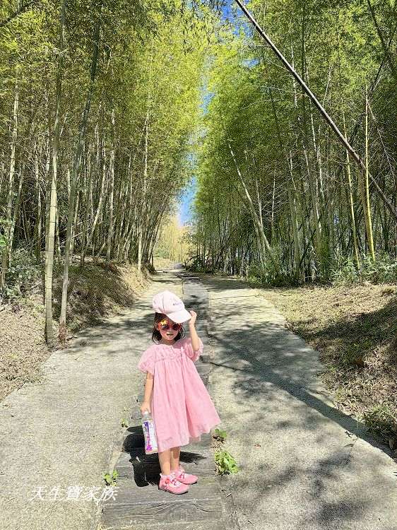 嘉義景點、隙頂景點、茶林山步道、隙頂茶林山步道、茶林山步道在那裡、茶林山步道登山口、茶林山、茶林山步道 停車場