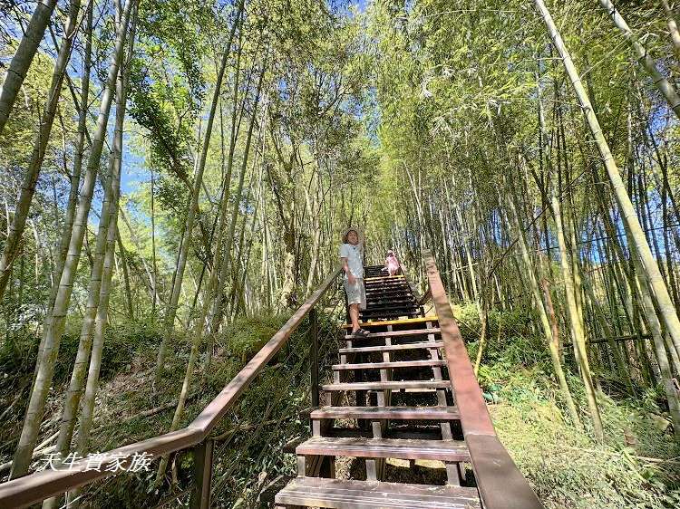 嘉義景點、隙頂景點、茶林山步道、隙頂茶林山步道、茶林山步道在那裡、茶林山步道登山口、茶林山、茶林山步道 停車場