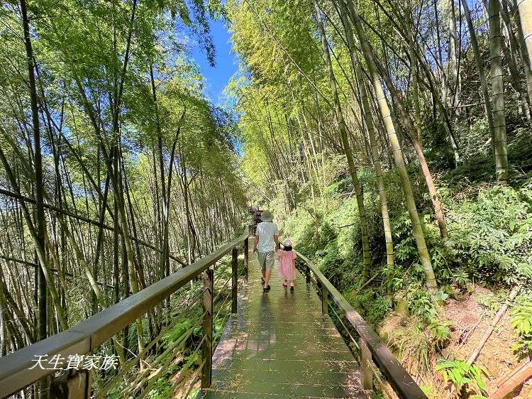 嘉義景點、隙頂景點、茶林山步道、隙頂茶林山步道、茶林山步道在那裡、茶林山步道登山口、茶林山、茶林山步道 停車場