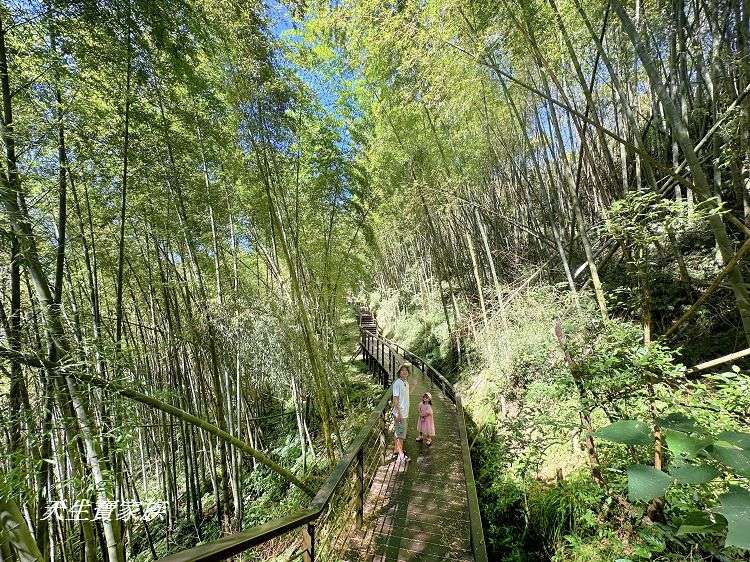 嘉義景點、隙頂景點、茶林山步道、隙頂茶林山步道、茶林山步道在那裡、茶林山步道登山口、茶林山、茶林山步道 停車場