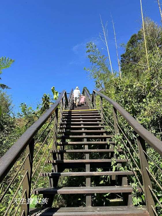 嘉義景點、隙頂景點、茶林山步道、隙頂茶林山步道、茶林山步道在那裡、茶林山步道登山口、茶林山、茶林山步道 停車場