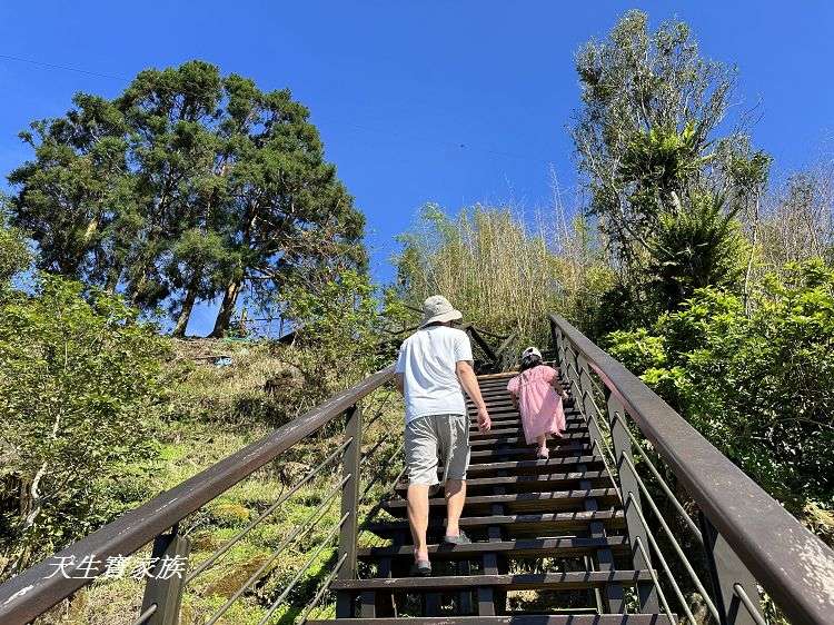 嘉義景點、隙頂景點、茶林山步道、隙頂茶林山步道、茶林山步道在那裡、茶林山步道登山口、茶林山、茶林山步道 停車場