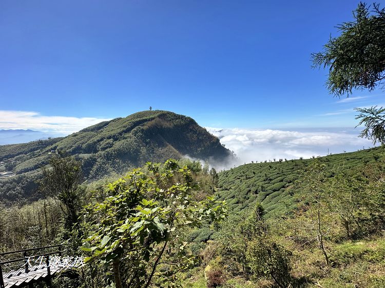 嘉義景點、隙頂景點、茶林山步道、隙頂茶林山步道、茶林山步道在那裡、茶林山步道登山口、茶林山、茶林山步道 停車場