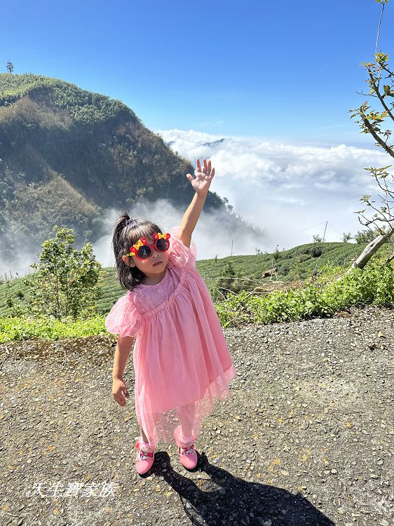 嘉義景點、隙頂景點、茶林山步道、隙頂茶林山步道、茶林山步道在那裡、茶林山步道登山口、茶林山、茶林山步道 停車場