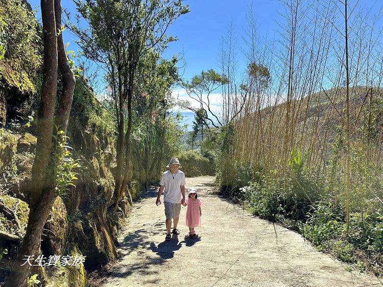 嘉義景點、隙頂景點、茶林山步道、隙頂茶林山步道、茶林山步道在那裡、茶林山步道登山口、茶林山、茶林山步道 停車場