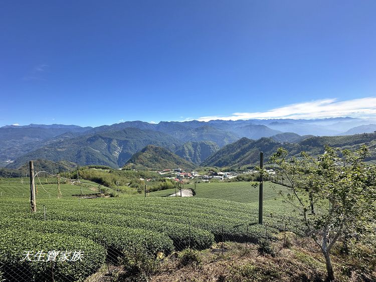 嘉義景點、隙頂景點、茶林山步道、隙頂茶林山步道、茶林山步道在那裡、茶林山步道登山口、茶林山、茶林山步道 停車場