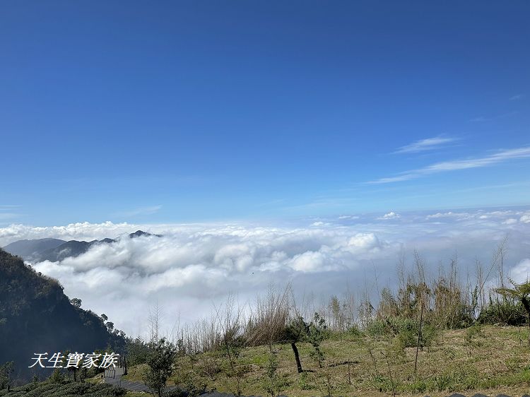 嘉義景點、隙頂景點、茶林山步道、隙頂茶林山步道、茶林山步道在那裡、茶林山步道登山口、茶林山、茶林山步道 停車場