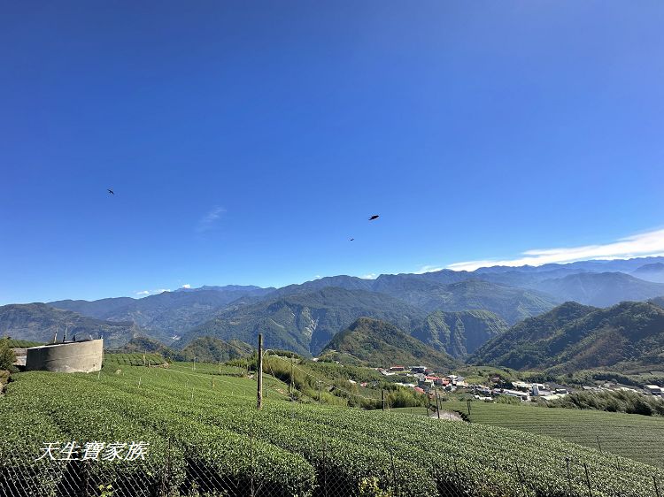 嘉義景點、隙頂景點、茶林山步道、隙頂茶林山步道、茶林山步道在那裡、茶林山步道登山口、茶林山、茶林山步道 停車場