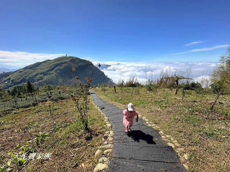 嘉義景點、隙頂景點、茶林山步道、隙頂茶林山步道、茶林山步道在那裡、茶林山步道登山口、茶林山、茶林山步道 停車場