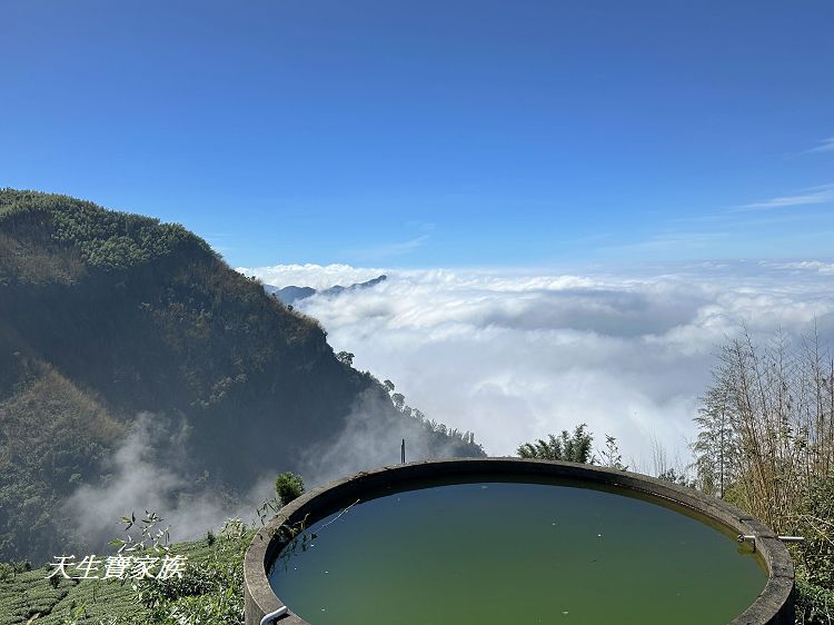 嘉義景點、隙頂景點、茶林山步道、隙頂茶林山步道、茶林山步道在那裡、茶林山步道登山口、茶林山、茶林山步道 停車場