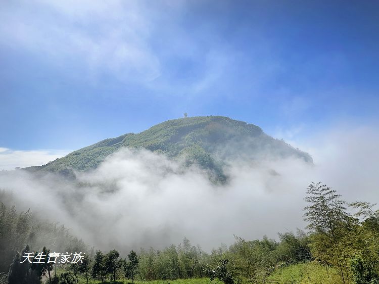 嘉義景點、隙頂景點、茶林山步道、隙頂茶林山步道、茶林山步道在那裡、茶林山步道登山口、茶林山、茶林山步道 停車場