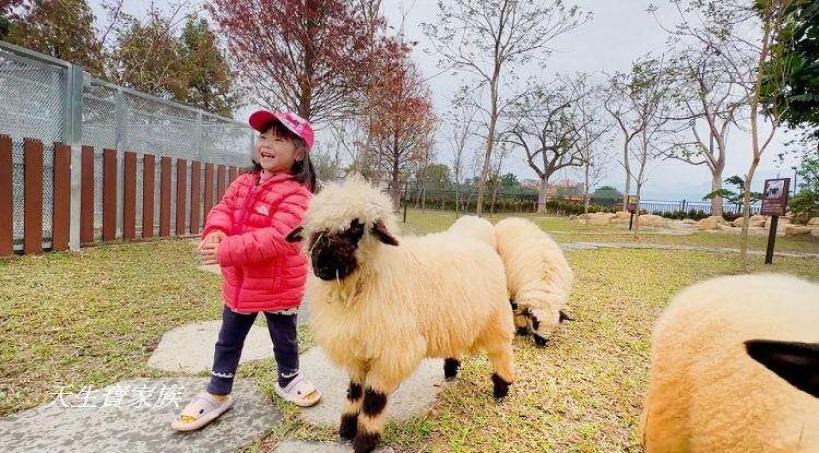 南投親子景點、水与松萌萌園、水与松萌萌園門票、水与松萌萌園門票資訊、水与松萌萌園交通