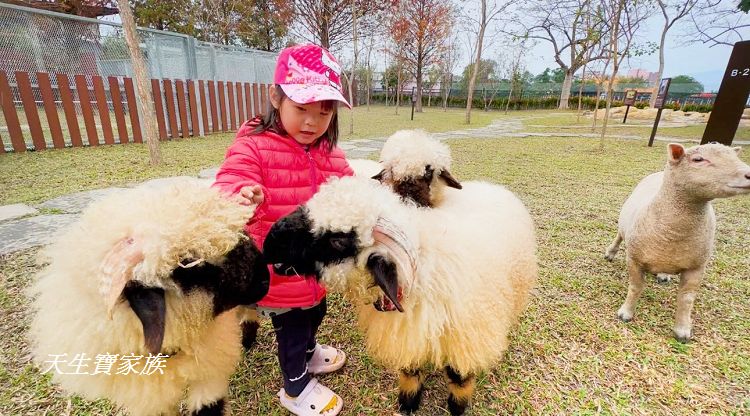 南投親子景點、水与松萌萌園、水与松萌萌園門票、水与松萌萌園門票資訊、水与松萌萌園交通