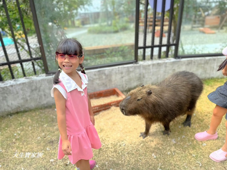 南投景點、鹿谷景點、鹿芝谷生態園區、鹿谷鹿芝谷、鹿谷動物園、鹿芝谷生態景觀園區、鹿芝谷生態園區門票、鹿芝谷生態園區停車場、鹿芝谷生態園區有什麼動物、